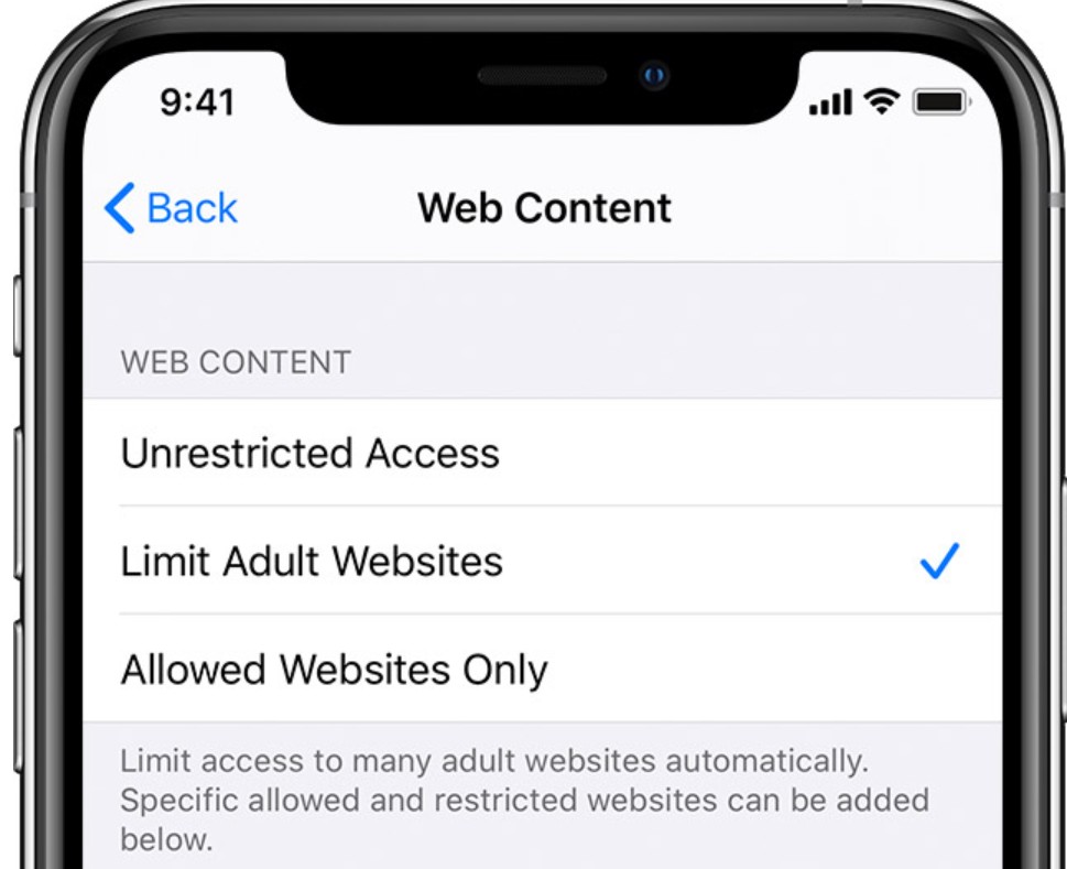 How to Enable SafeSearch Settings in Safari? 6 How to Enable SafeSearch Settings in Safari? 5