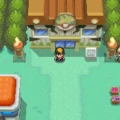A Guide to Safari Zone HeartGold's Most Exciting Adventure 10 A Guide to Safari Zone HeartGold's Most Exciting Adventure 9