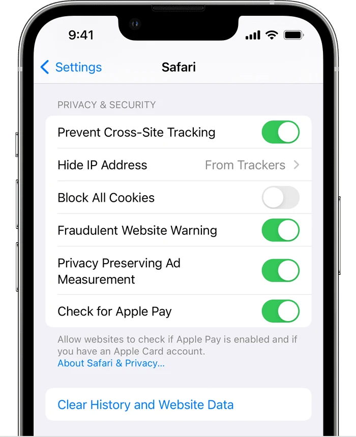 How to Check Your History on iPhone 2 How to Check Your History on iPhone 1