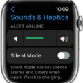 How To Set Ringtone On Your Apple Watch 4 How To Set Ringtone On Your Apple Watch 3